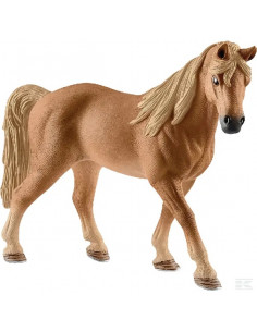 Cavalla Tennessee Walker