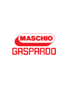 ALBERO CENTRALE GF 310 F 2